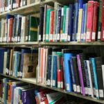 Liv, Papetri & Edikasyon